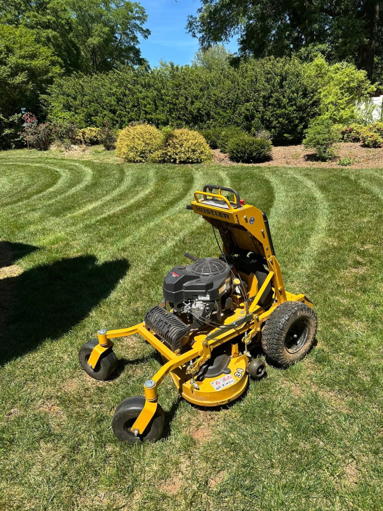 Curved mowing stripes beside trimmed shrubs