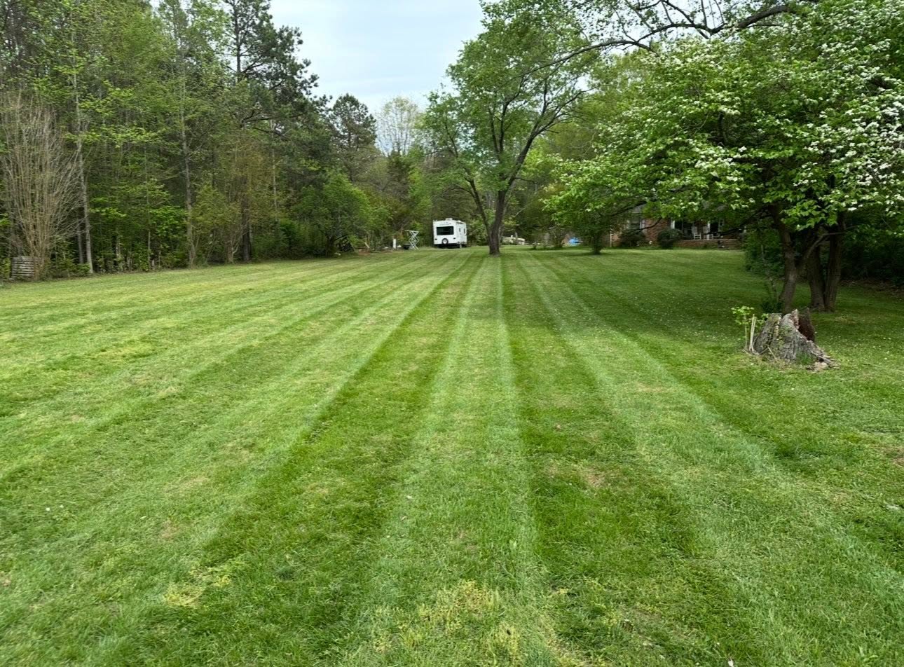Freshly striped lawn mowed by Ray's Elite