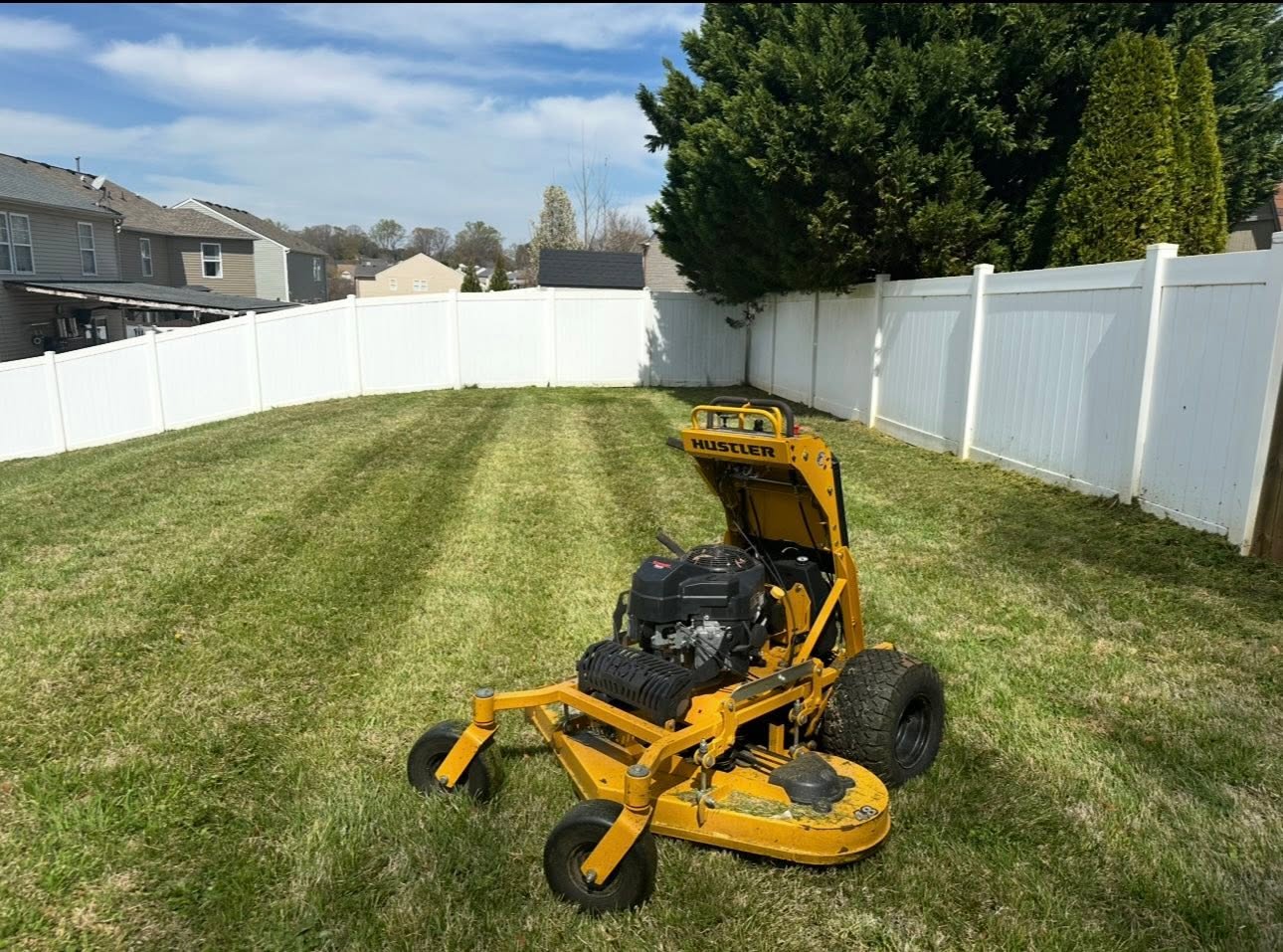 Ray's Elite mower on a freshly striped backyard